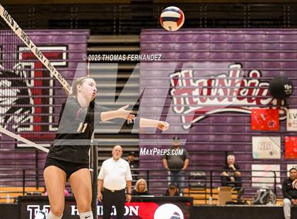 Thumbnail 2 in Basha @ Hamilton photogallery.