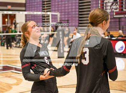 Thumbnail 3 in Basha @ Hamilton photogallery.