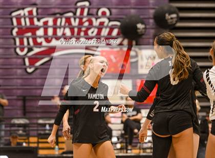 Thumbnail 3 in Basha @ Hamilton photogallery.