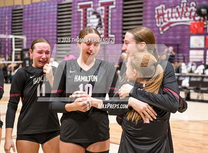 Thumbnail 3 in Basha @ Hamilton photogallery.