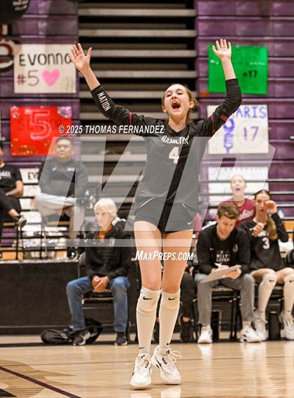 Thumbnail 2 in Basha @ Hamilton photogallery.