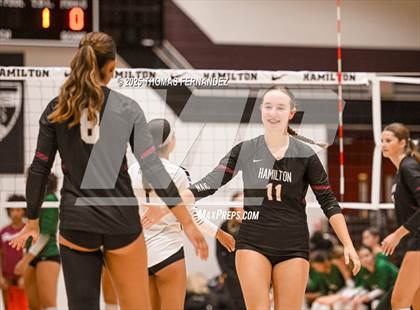 Thumbnail 2 in Basha @ Hamilton photogallery.