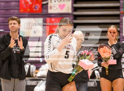 Thumbnail 2 in Basha @ Hamilton photogallery.