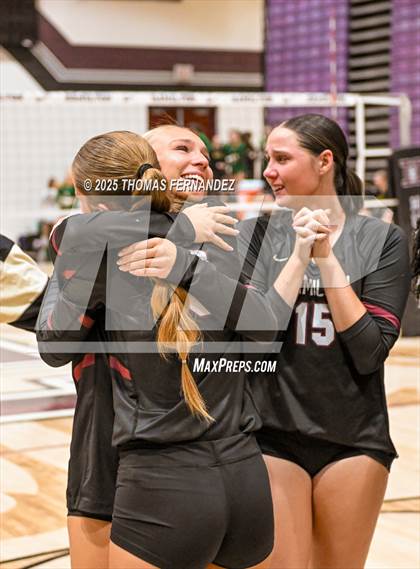 Thumbnail 2 in Basha @ Hamilton photogallery.