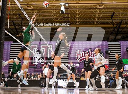 Thumbnail 1 in Basha @ Hamilton photogallery.