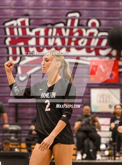 Thumbnail 3 in Basha @ Hamilton photogallery.