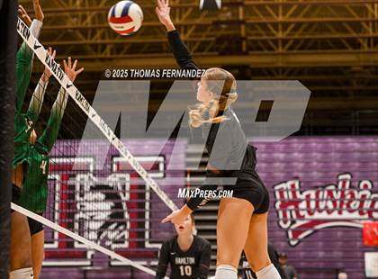 Thumbnail 3 in Basha @ Hamilton photogallery.