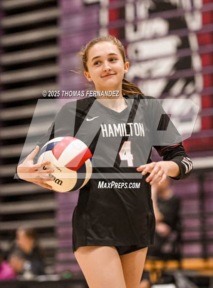 Thumbnail 1 in Basha @ Hamilton photogallery.