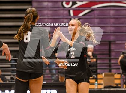 Thumbnail 1 in Basha @ Hamilton photogallery.