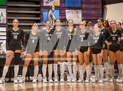 Thumbnail 2 in Basha @ Hamilton photogallery.