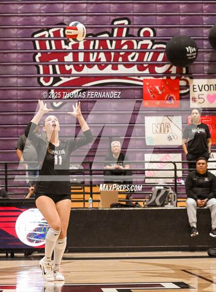 Thumbnail 3 in Basha @ Hamilton photogallery.