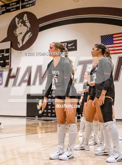 Thumbnail 2 in Basha @ Hamilton photogallery.