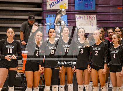 Thumbnail 3 in Basha @ Hamilton photogallery.