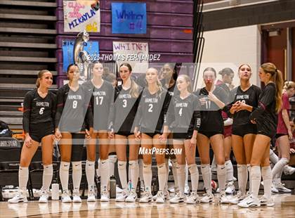 Thumbnail 1 in Basha @ Hamilton photogallery.