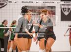 Photo from the gallery "Basha @ Hamilton"
