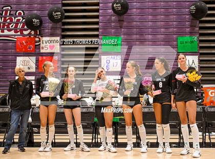 Thumbnail 2 in Basha @ Hamilton photogallery.