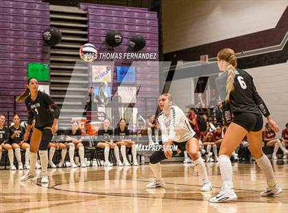 Thumbnail 2 in Basha @ Hamilton photogallery.