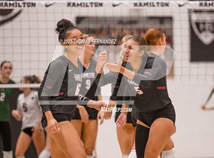 Thumbnail 1 in Basha @ Hamilton photogallery.