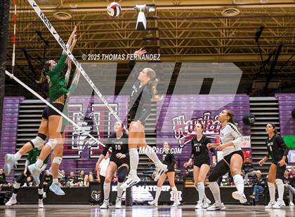 Thumbnail 3 in Basha @ Hamilton photogallery.