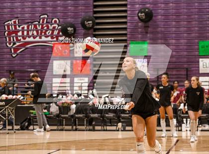 Thumbnail 1 in Basha @ Hamilton photogallery.