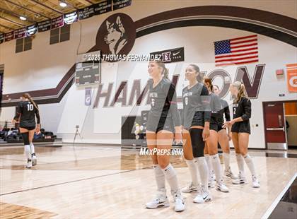 Thumbnail 3 in Basha @ Hamilton photogallery.