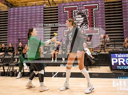 Thumbnail 1 in Basha @ Hamilton photogallery.