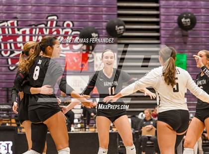 Thumbnail 2 in Basha @ Hamilton photogallery.