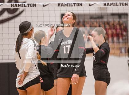 Thumbnail 1 in Basha @ Hamilton photogallery.