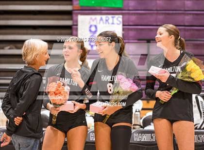 Thumbnail 1 in Basha @ Hamilton photogallery.