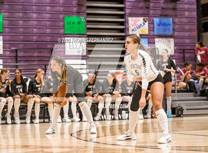 Thumbnail 1 in Basha @ Hamilton photogallery.