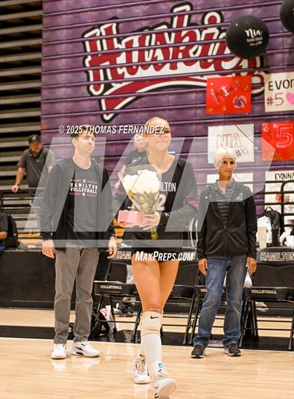 Thumbnail 3 in Basha @ Hamilton photogallery.