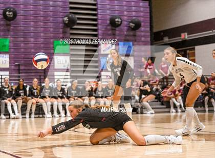 Thumbnail 2 in Basha @ Hamilton photogallery.