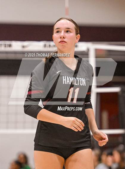 Thumbnail 1 in Basha @ Hamilton photogallery.