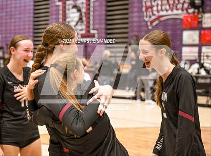 Thumbnail 1 in Basha @ Hamilton photogallery.