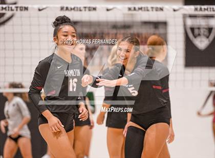 Thumbnail 2 in Basha @ Hamilton photogallery.