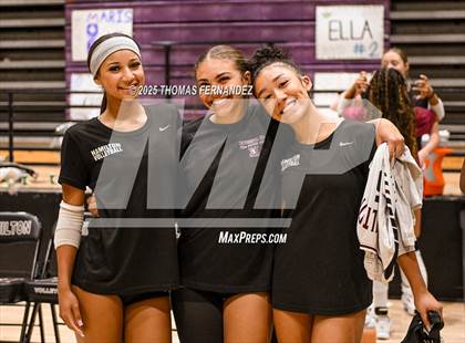 Thumbnail 3 in Basha @ Hamilton photogallery.