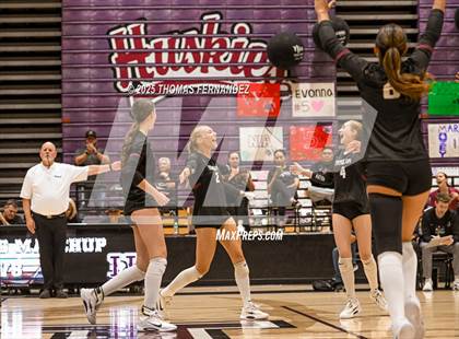 Thumbnail 3 in Basha @ Hamilton photogallery.