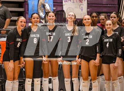 Thumbnail 1 in Basha @ Hamilton photogallery.