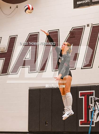 Thumbnail 1 in Basha @ Hamilton photogallery.