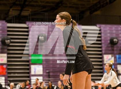 Thumbnail 1 in Basha @ Hamilton photogallery.