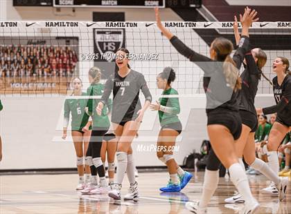 Thumbnail 2 in Basha @ Hamilton photogallery.