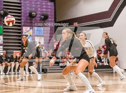 Thumbnail 2 in Basha @ Hamilton photogallery.