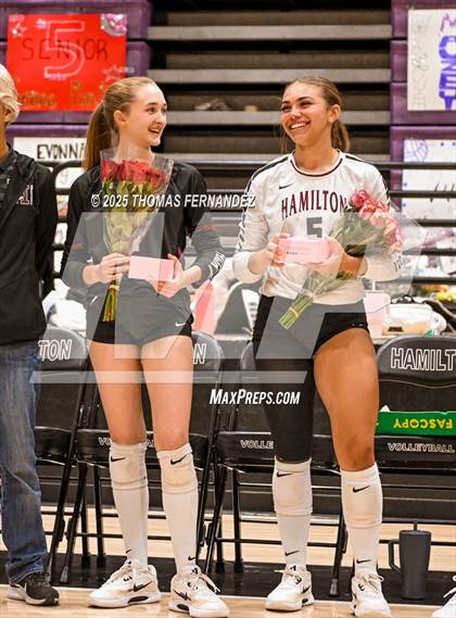 Thumbnail 1 in Basha @ Hamilton photogallery.