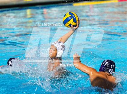 Thumbnail 3 in Crespi @ Loyola photogallery.