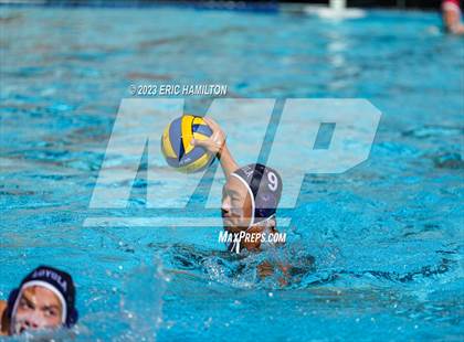 Thumbnail 1 in Crespi @ Loyola photogallery.