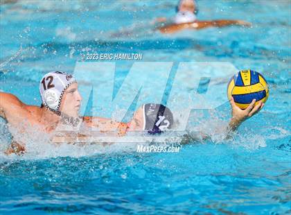 Thumbnail 3 in Crespi @ Loyola photogallery.