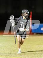 Photo from the gallery "Sickles @ Cypress Creek"