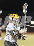 Photo from the gallery "Sickles @ Cypress Creek"