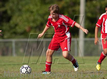 Thumbnail 3 in Vineland @ Absegami photogallery.