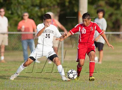 Thumbnail 1 in Vineland @ Absegami photogallery.